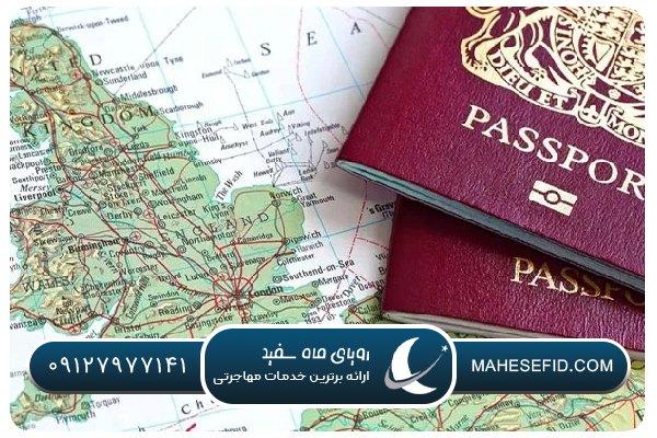ویزای استارتاپ با مدل کاری آنلاین