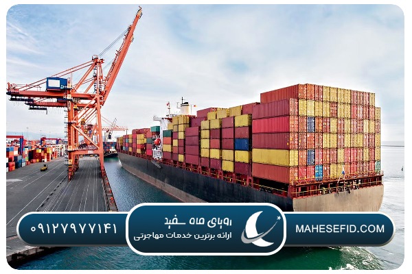 همکاری‌های بین‌المللی و صادرات در اسپانیا