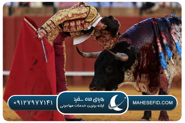 موسیقی و هنر خیابانی در اسپانیا